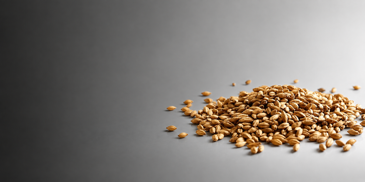 Lower yields, more flavour - the Golden Promise